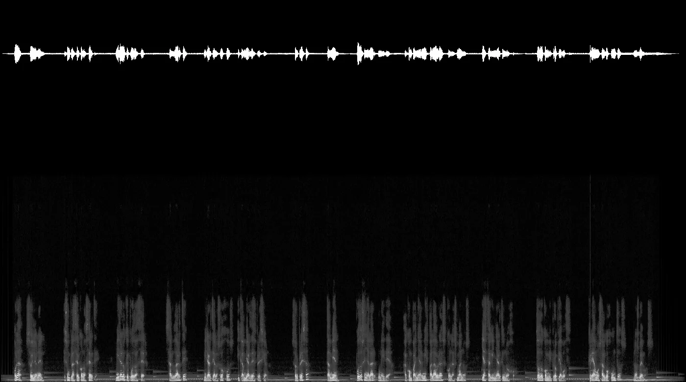 Forma de onda y espectrograma del control de calidad de audio sobre el MP4 codificado